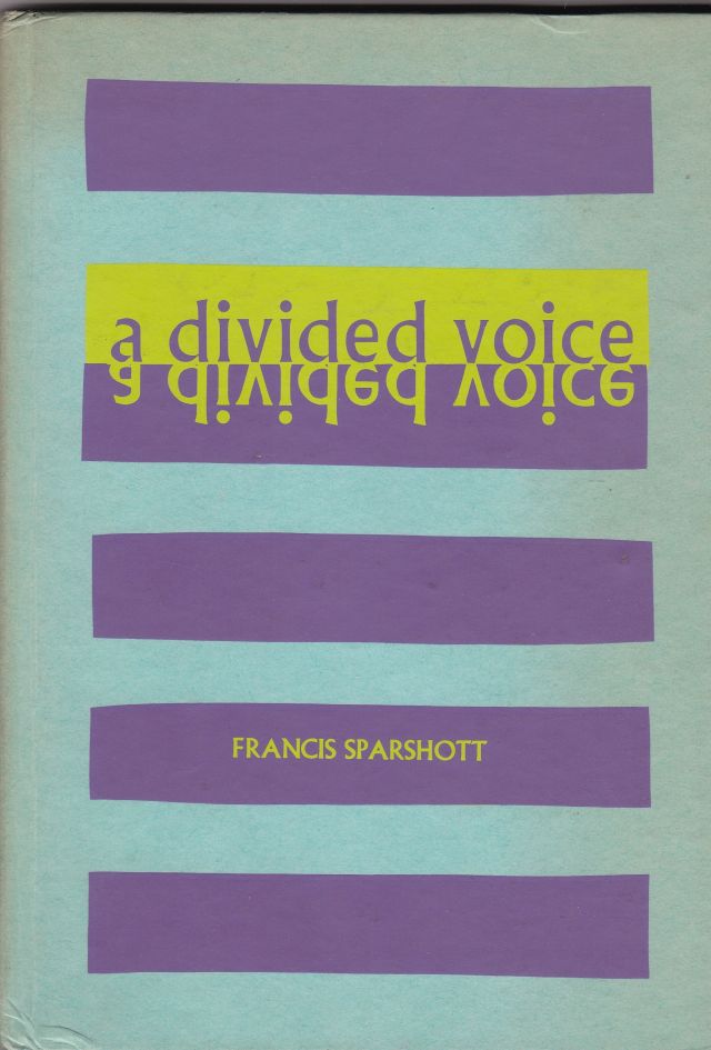 Image for A Divided Voice